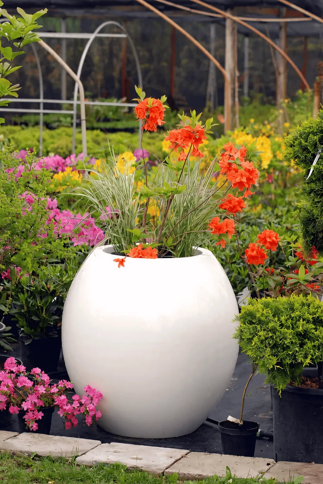Duża, błyszcząca, biała donica wypełniona wysoką, zieloną trawą i intensywnie pomarańczowymi kwiatami, otoczona różnymi roślinami doniczkowymi i kwiatami w odcieniach różu, żółci i zieleni.