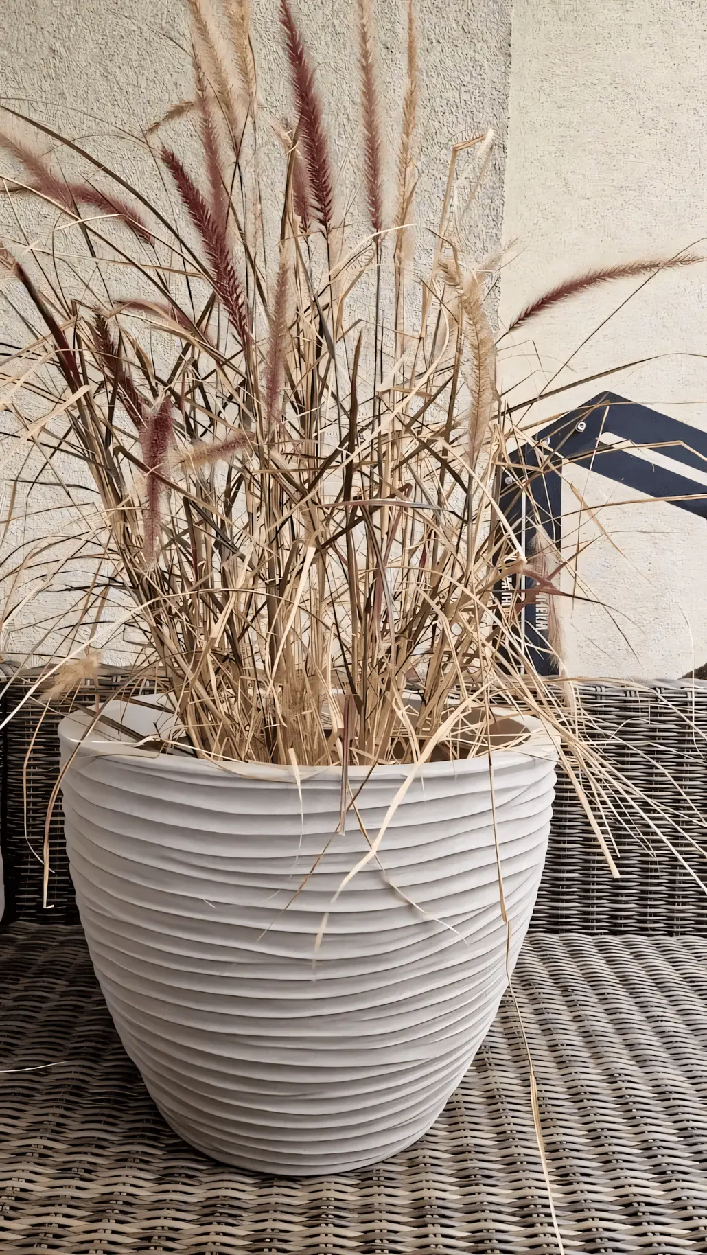 Żebrowana, jasnoszara donica z wysoką, delikatną trawą o cienkich, beżowych i czerwonofioletowych pióropuszach, umieszczona na plecionej powierzchni z rattanu.