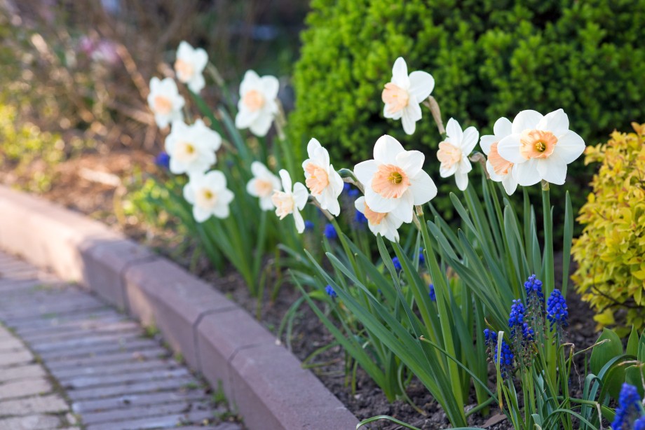 obrzeże z kostki betonowej