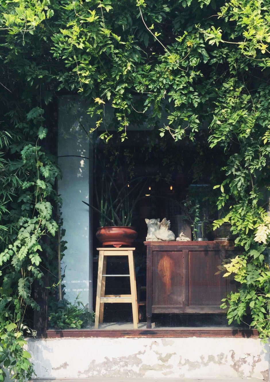 stara szafka w ogrodzie