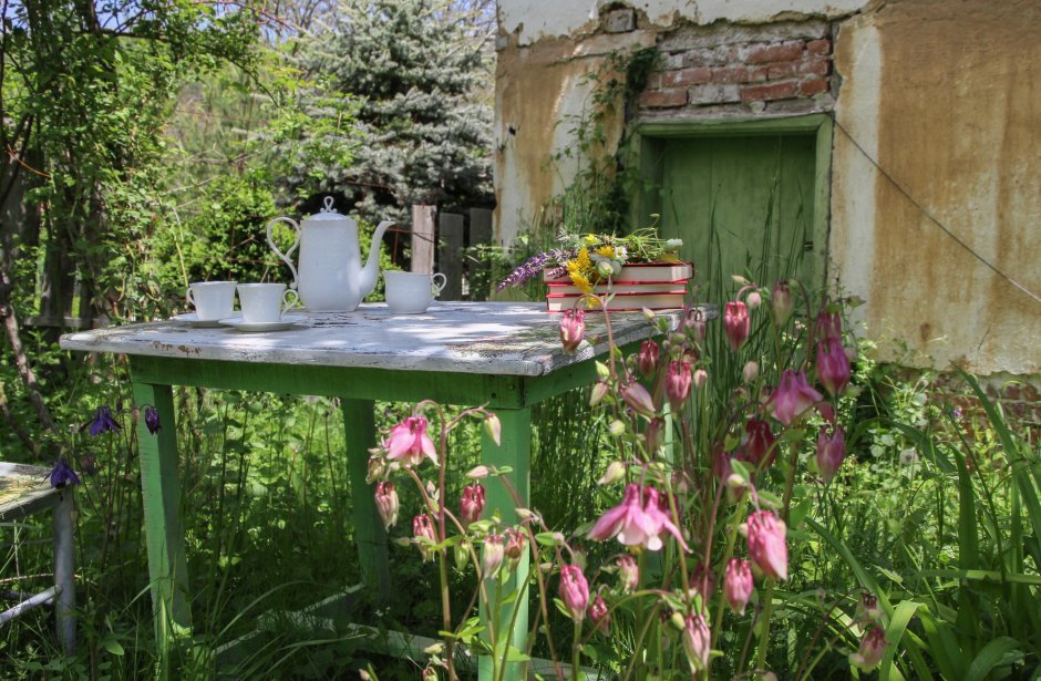 stary stół w ogrodzie a na nim filiżanki i dzbanek