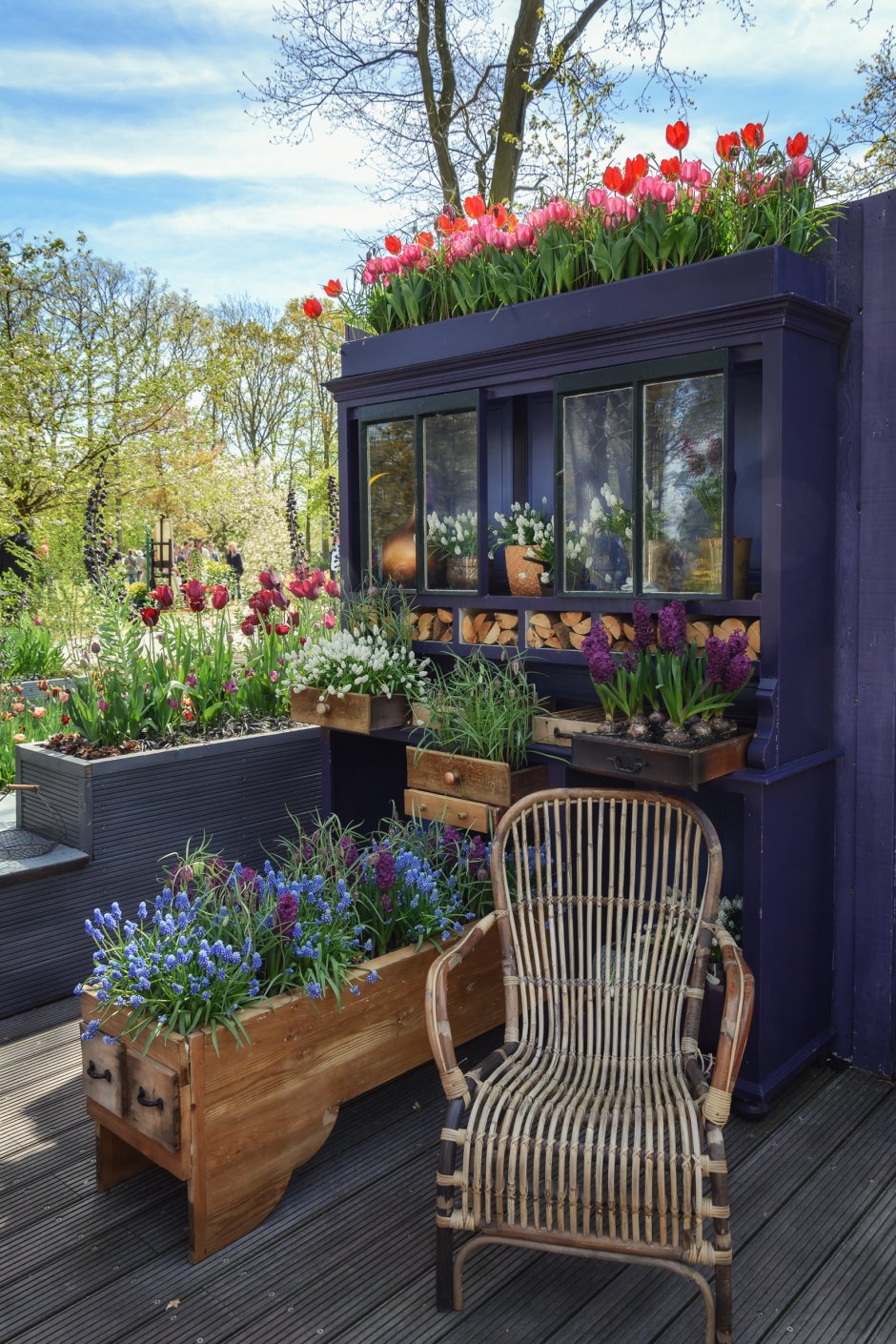szafa kredens z szufladami a w nich z roślinami