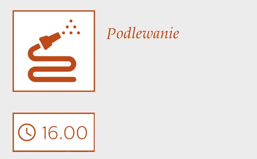 podlewanie roślin