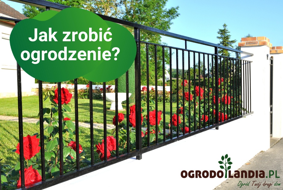 Jak zrobić ogrodzenie?