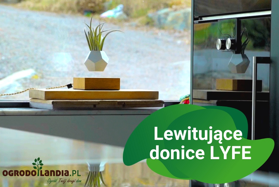 Lewitujące donice LYFE