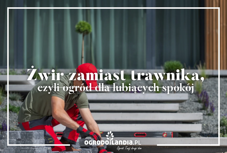 Żwir zamiast trawnika, czyli ogród dla lubiących spokój