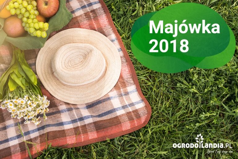 Majówka 2018