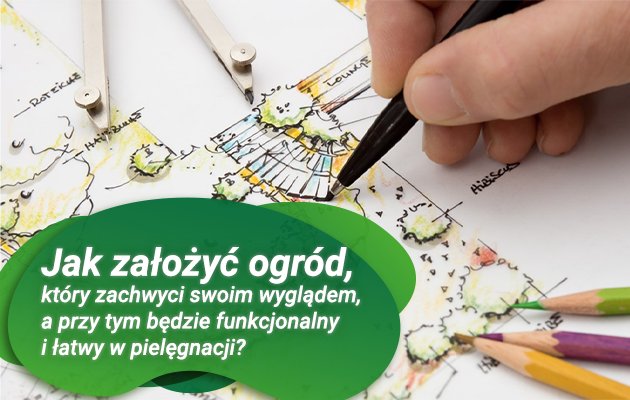 Jak założyć ogród krok po kroku?