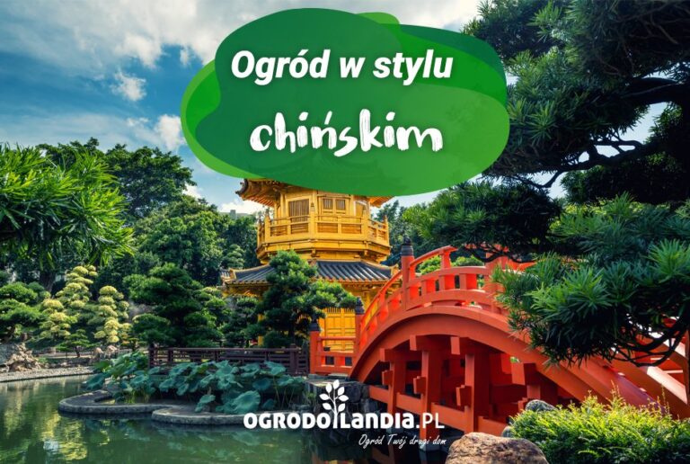 Ogród w stylu chińskim
