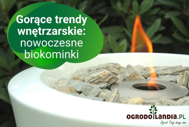 Biokominek w salonie jak i w ogrodzie