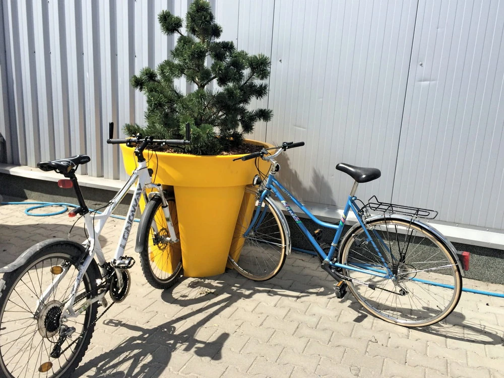 Dwa rowery zaparkowane po obu stronach żółtej donicy z stojakiem na rowery Bikepot, przy której rośnie mała sosna.