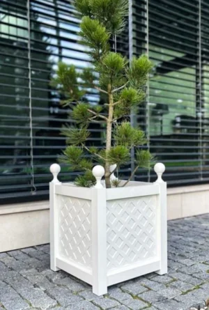 Biała donica z aluminium Donica z ozdobnymi kulami „Versailles”, z kratką i małą sosną.
