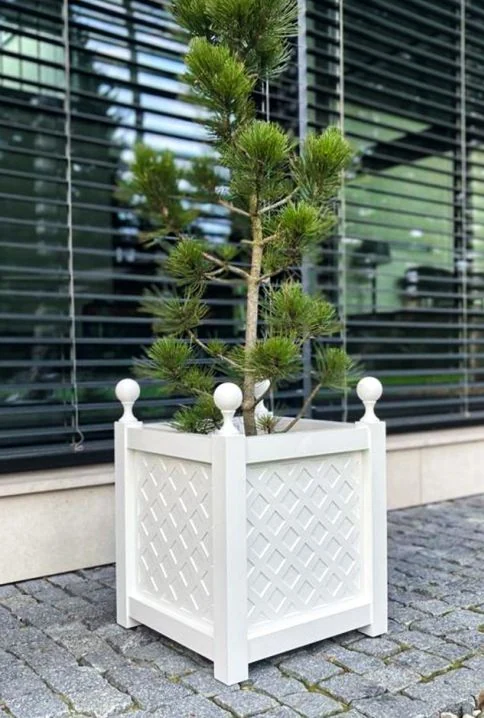 Biała donica z aluminium Donica z ozdobnymi kulami „Versailles”, z kratką i małą sosną.