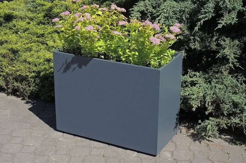 Prostokątna donica „Concrete” o wymiarach 120 x 40 x 40 cm z kwitnącym krzewem o różowych kwiatach na wybrukowanej ścieżce.